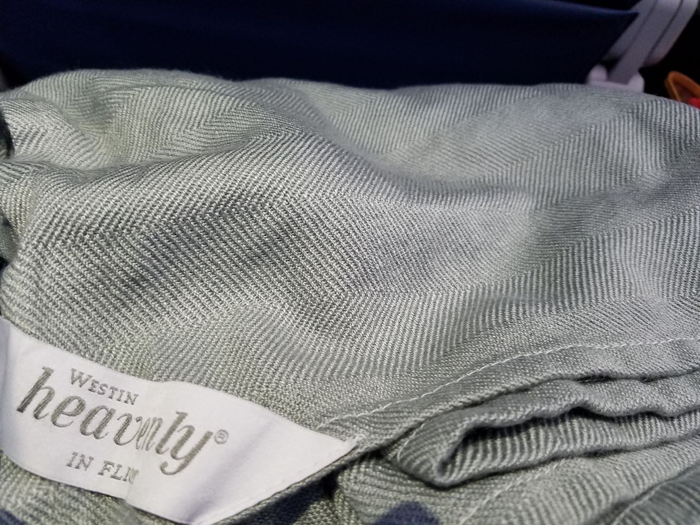 Comedian Tells Conan About Finding Poop in Her Blanket on Delta